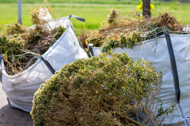 Best Demolition Debris Removal  in Indian Head, MD